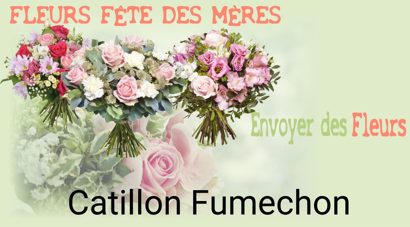 Bouquet de Fête des Mères livré à Catillon-Fumechon